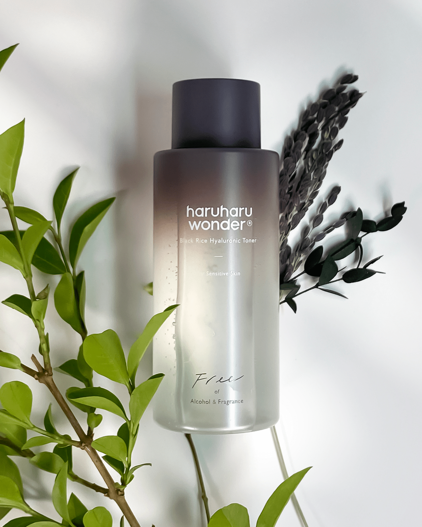 Black Rice Hyaluronic Toner For Sensitive Skin